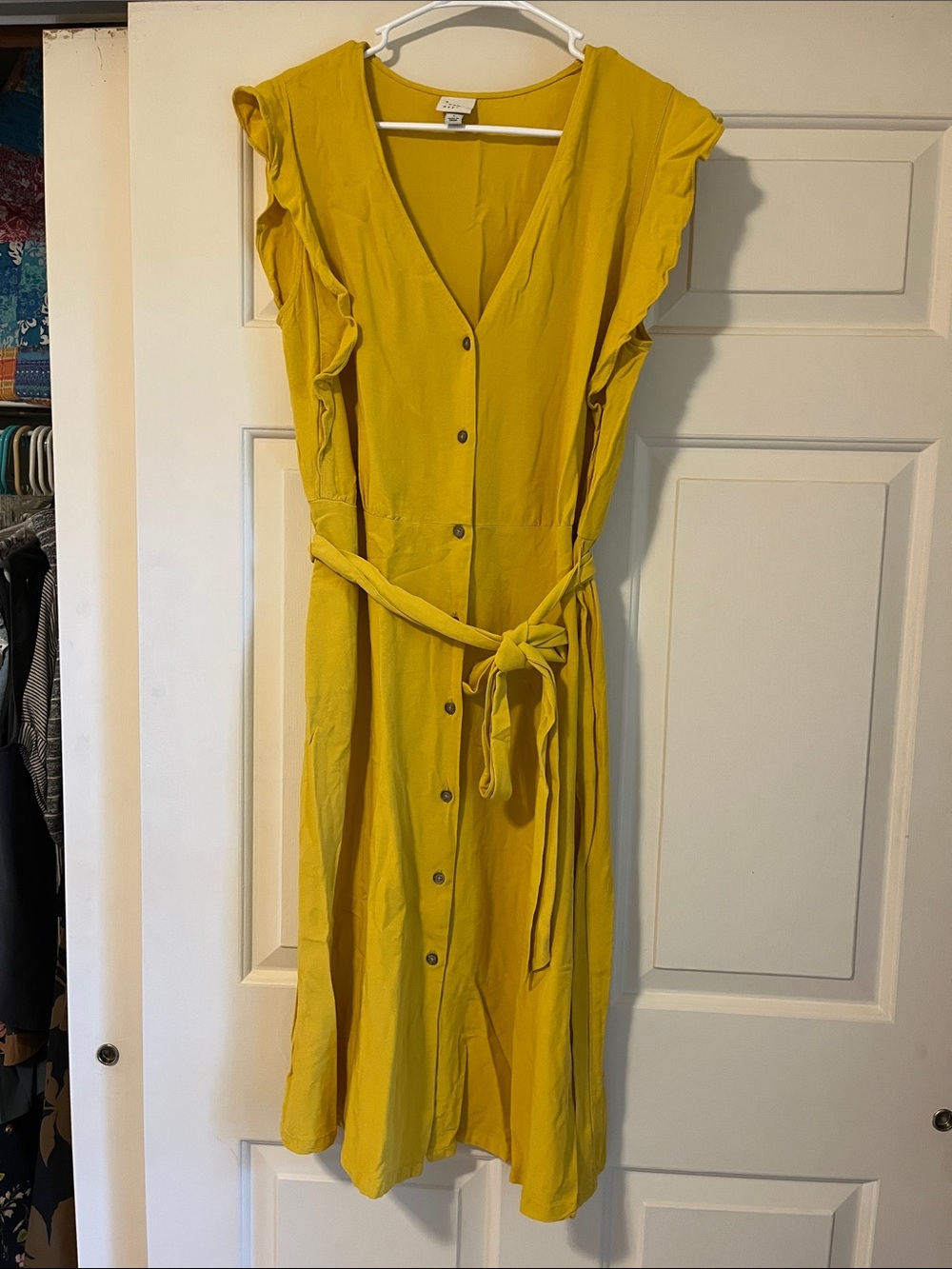 Yellow Button-Front Ruffle Sleeve Dress with Tie Waist